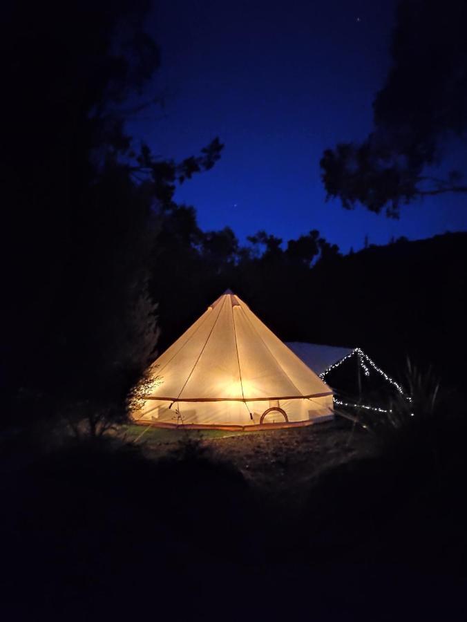 Glamping At Zeehan Bush Camp المظهر الخارجي الصورة