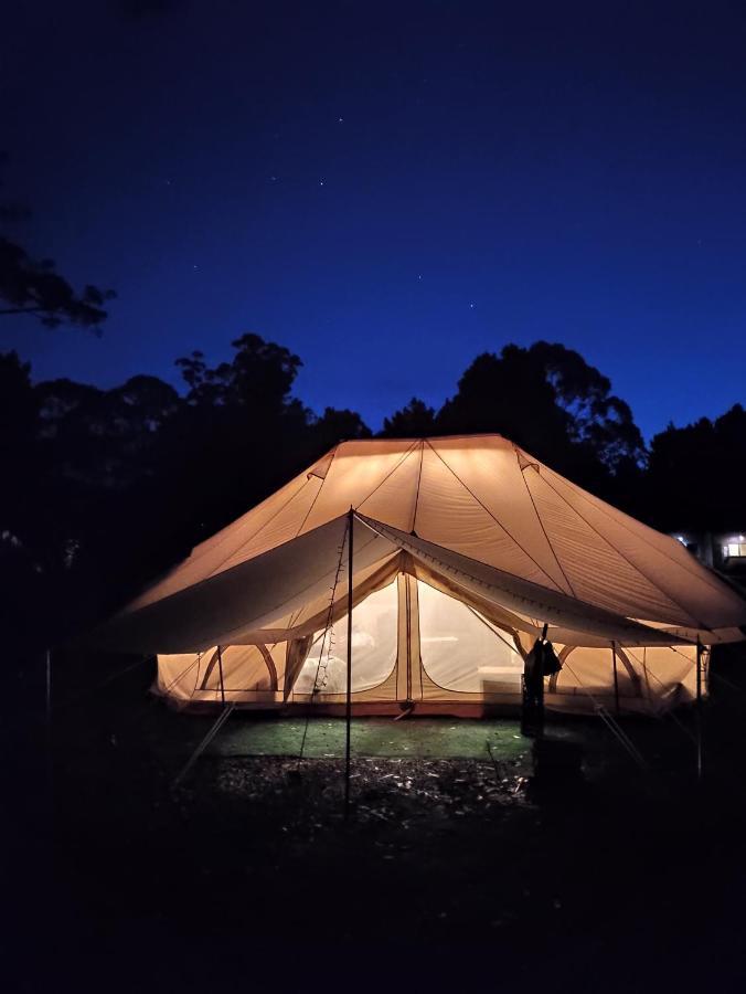 Glamping At Zeehan Bush Camp المظهر الخارجي الصورة