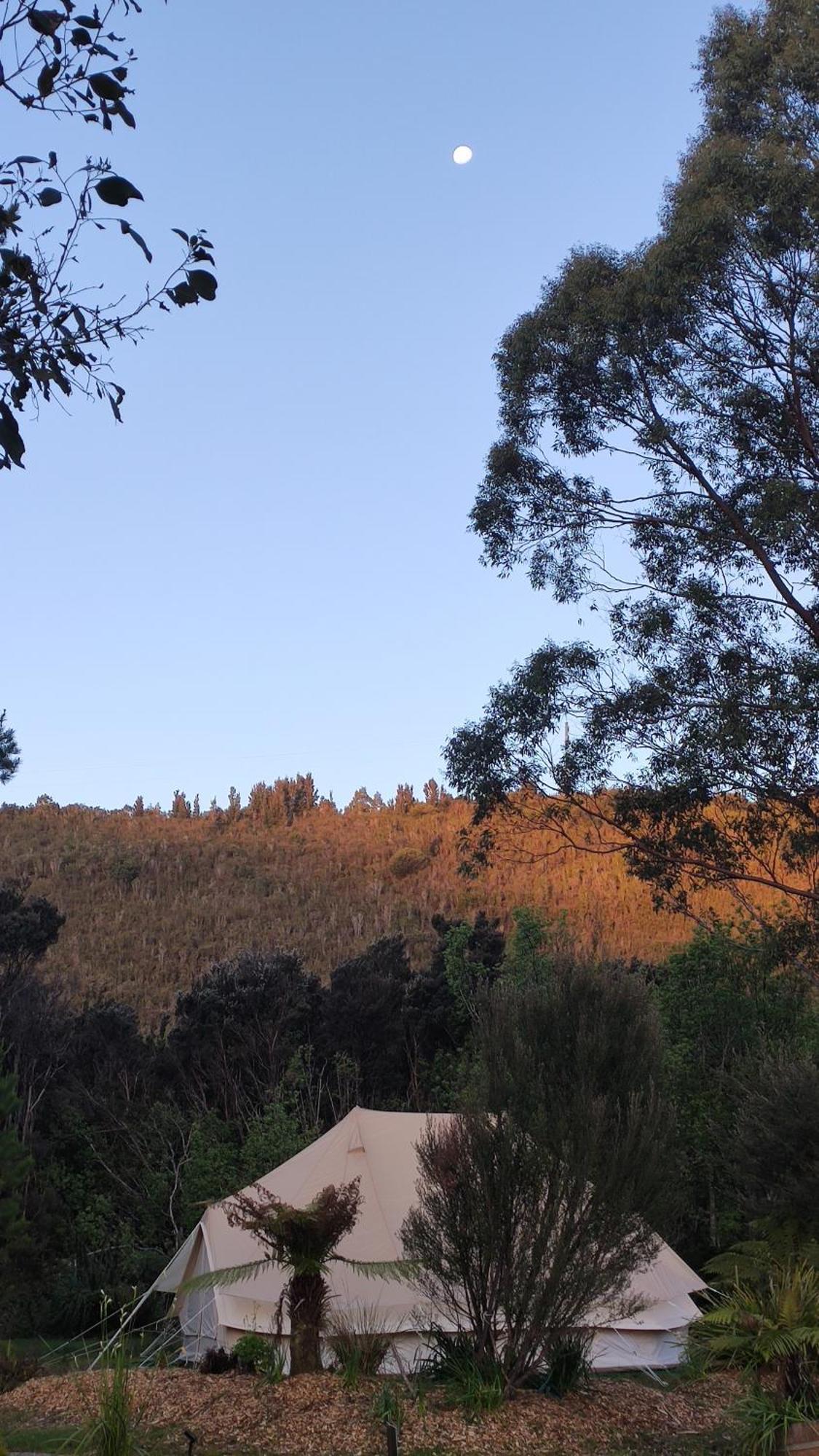 Glamping At Zeehan Bush Camp المظهر الخارجي الصورة