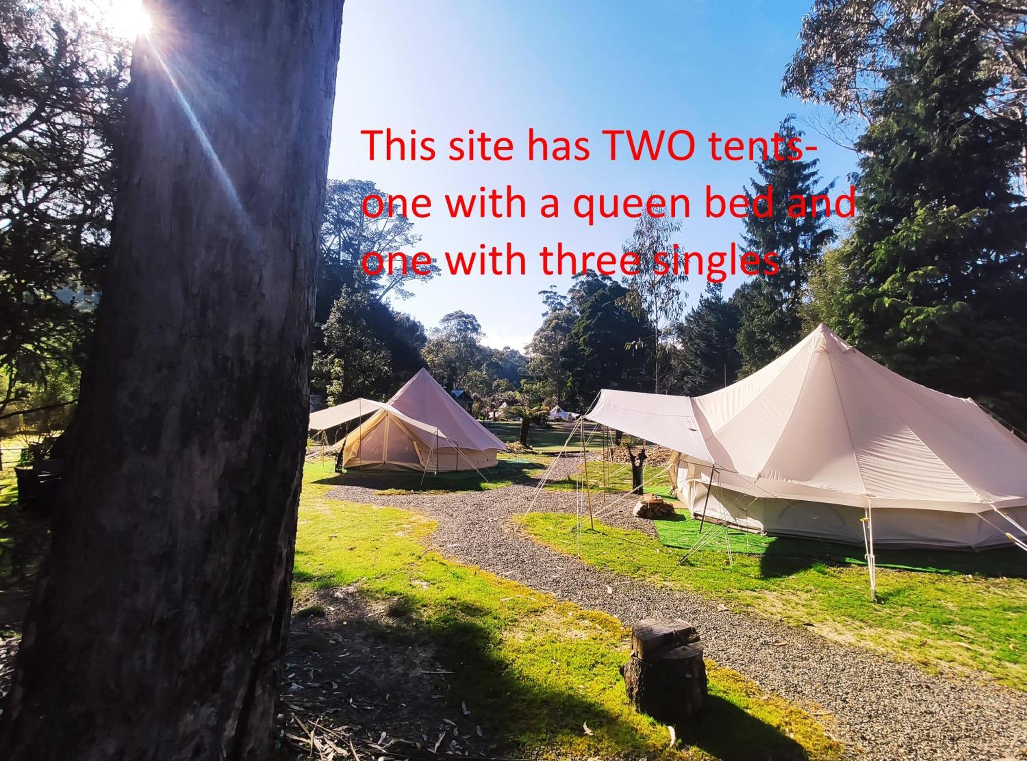 Glamping At Zeehan Bush Camp المظهر الخارجي الصورة