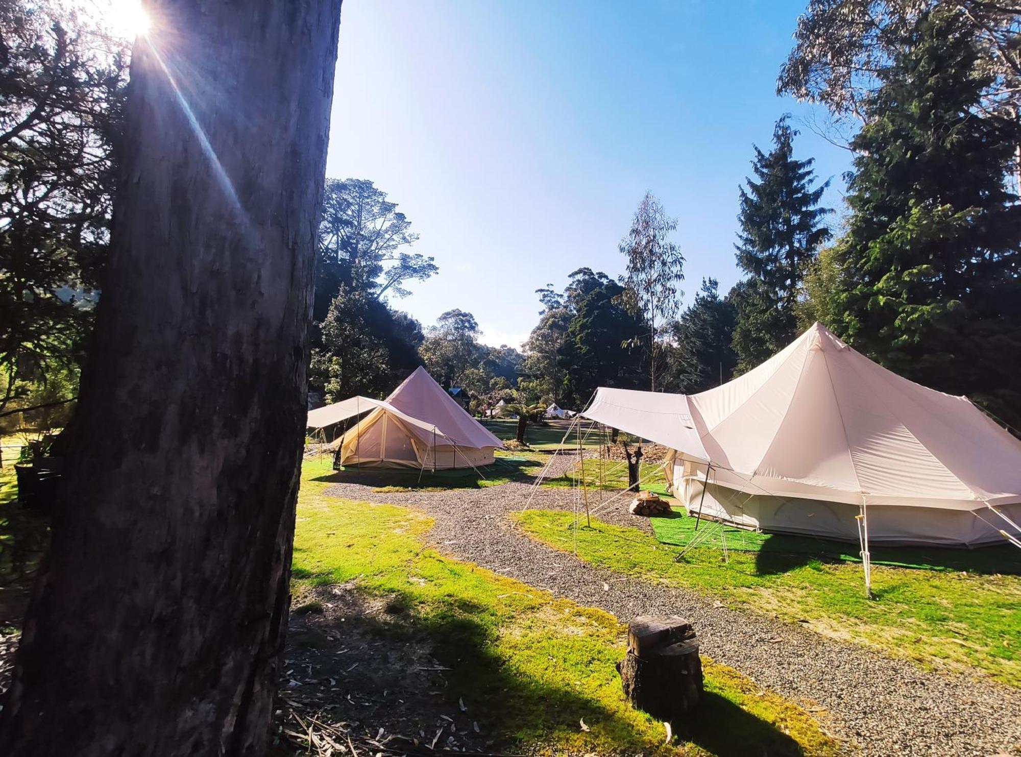 Glamping At Zeehan Bush Camp المظهر الخارجي الصورة