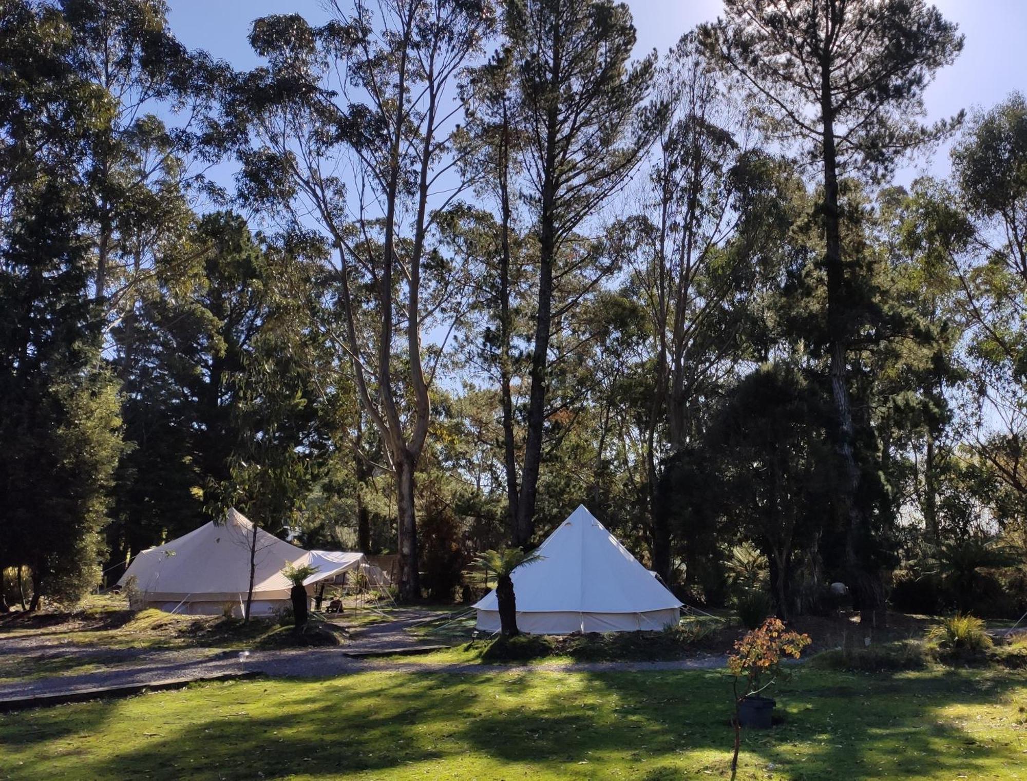 Glamping At Zeehan Bush Camp المظهر الخارجي الصورة