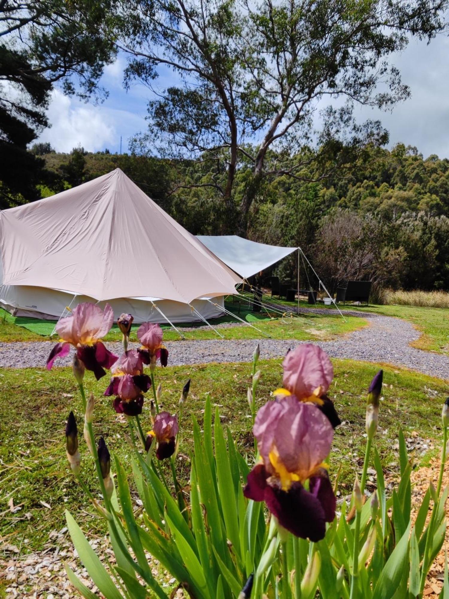 Glamping At Zeehan Bush Camp المظهر الخارجي الصورة