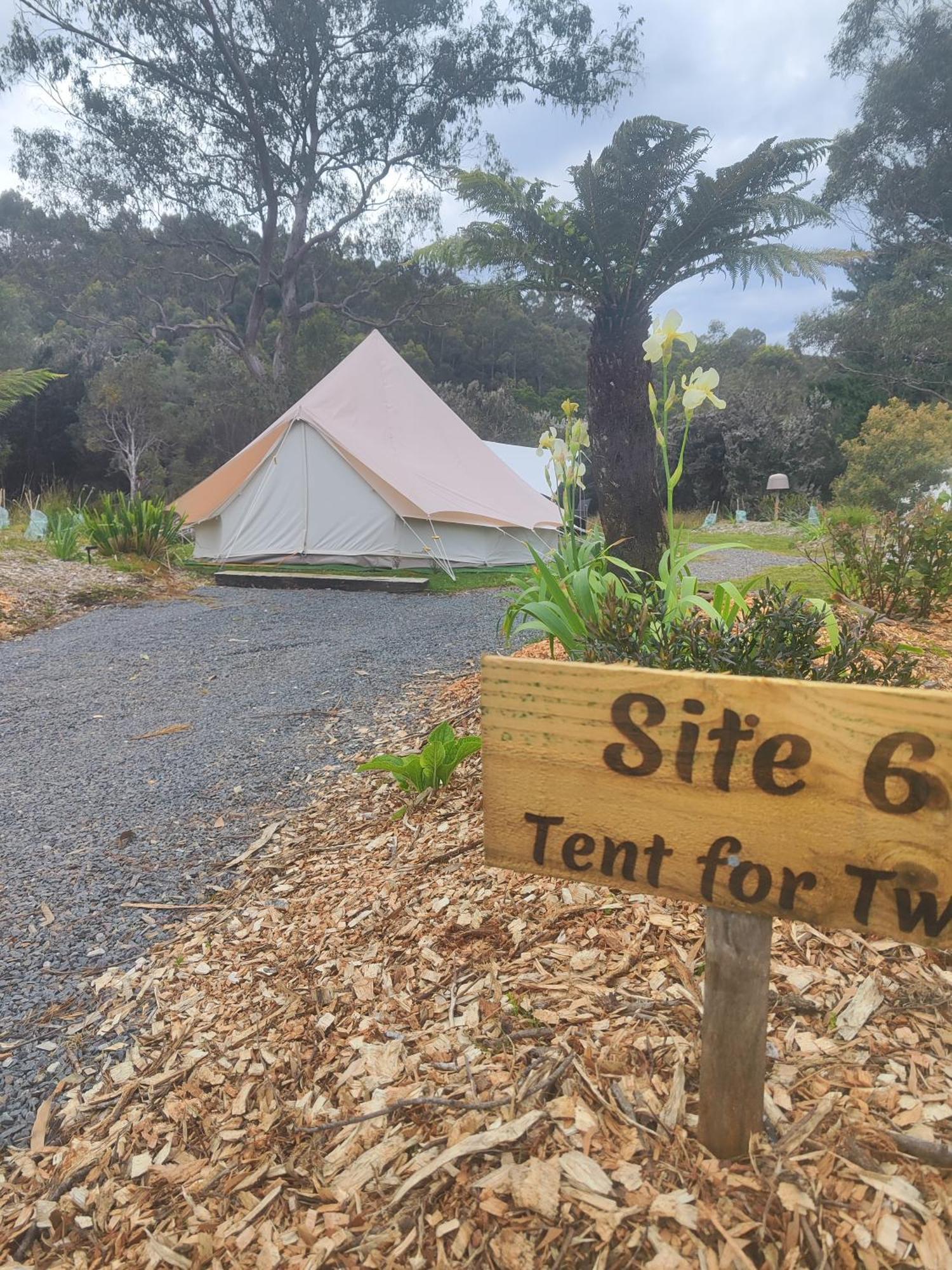 Glamping At Zeehan Bush Camp المظهر الخارجي الصورة