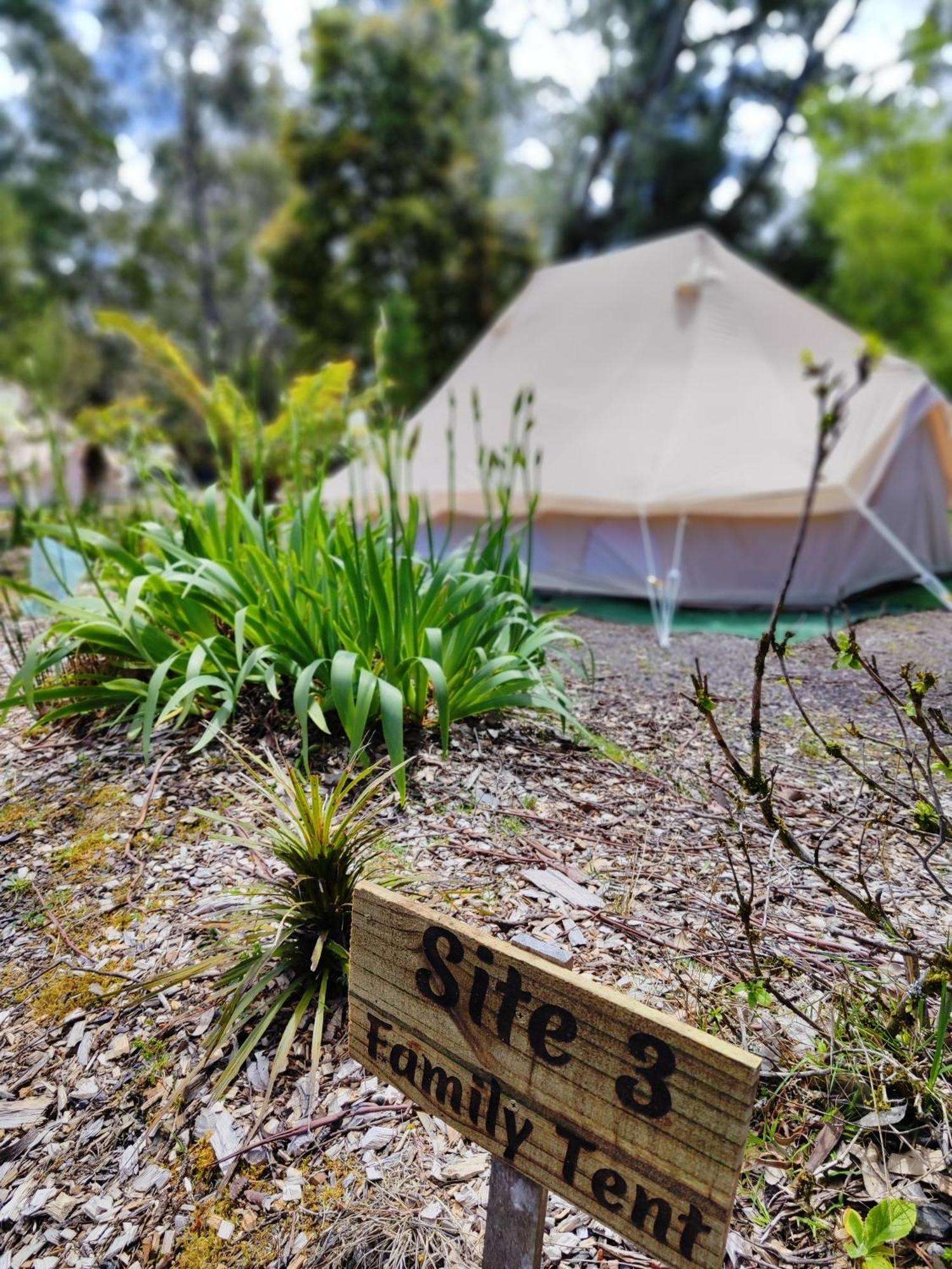 Glamping At Zeehan Bush Camp المظهر الخارجي الصورة