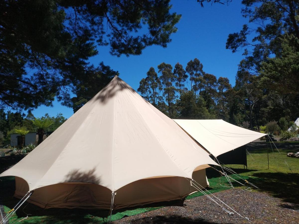 Glamping At Zeehan Bush Camp المظهر الخارجي الصورة