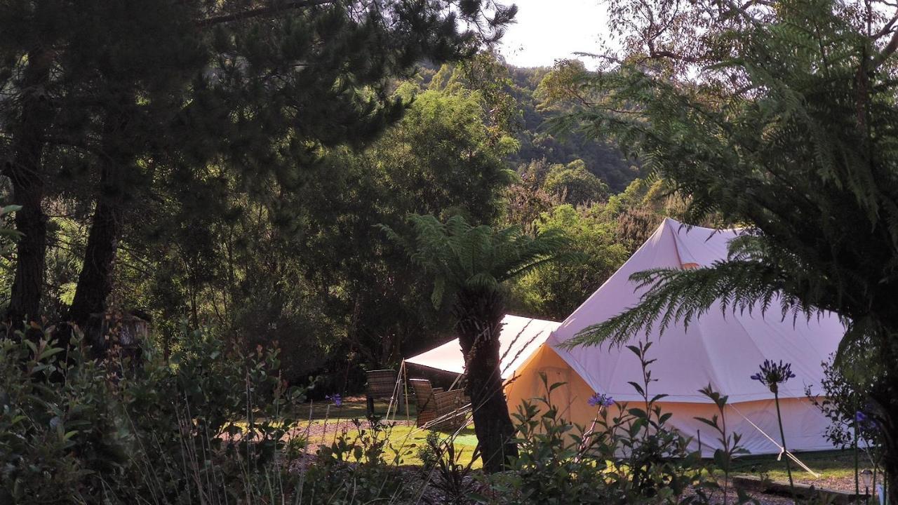 Glamping At Zeehan Bush Camp المظهر الخارجي الصورة